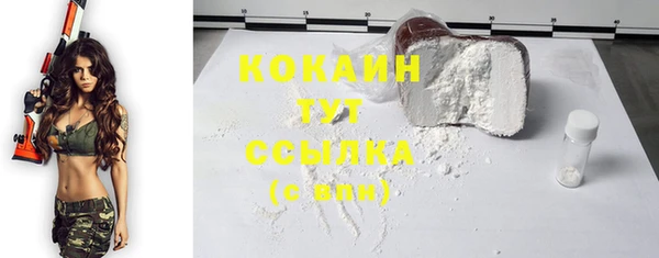 индика Абаза