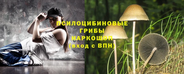 таблы Алзамай