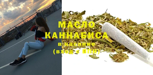 индика Абаза