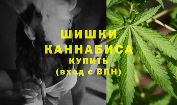 индика Абаза