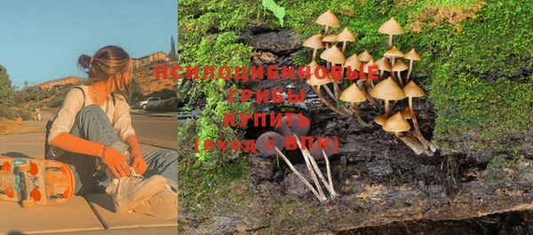 индика Абаза