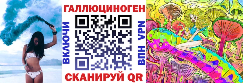 где найти наркотики  Кедровый  Псилоцибиновые грибы Psilocybine cubensis 